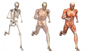 human_figures